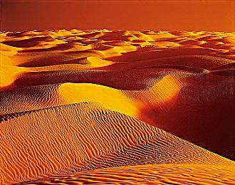 《生化危机4：重制版》豪华版服装公开 阿什莉新装美